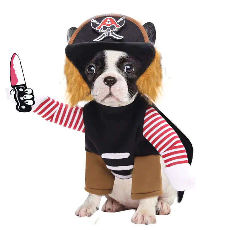 Pirate-Inspired Pet Costumes for Halloween