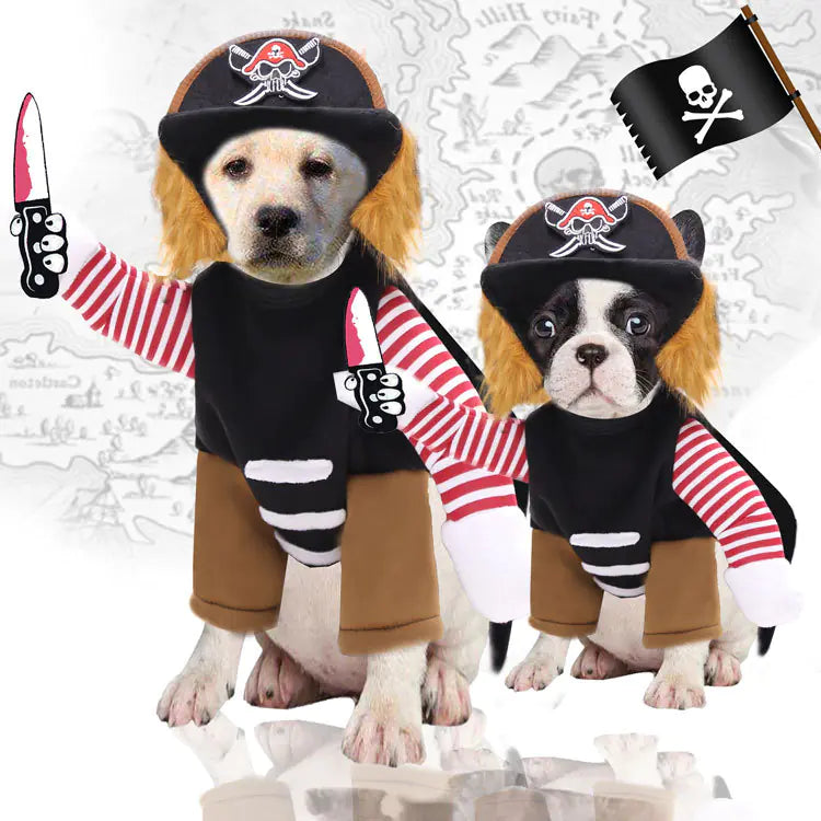 Pirate-Inspired Pet Costumes for Halloween